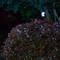 Glitzhome® 38.5ft. 100ct. LED Solar String Lights, 2ct.